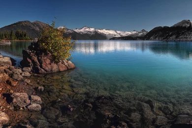 Live Wallpapers HD For Windows 10   Wallpapers HD