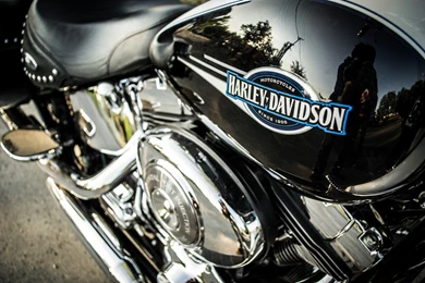 Wallpapers HD Harley Davidson Logo   HD Wallpapers Expert