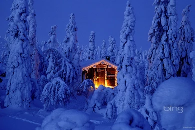 Download 1920x1080 Bing Highlighted House In Deep Snowy Forest ...