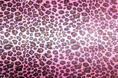 Pink Leopard Print Wallpapers Wallpapers