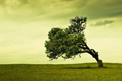 Free Wallpapers For Android Tablet 48903 Hd Pictures