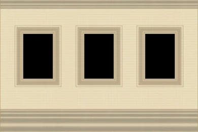 BACKGROUND AND 3 PICTURE FRAME Photo By Marathongman