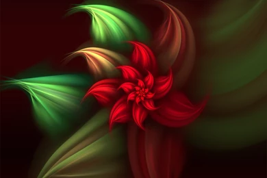 Christmas Poinsettia Wallpapers Related Keywords & Suggestions ...
