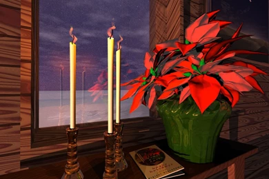 Free Christmas Wallpapers: Christmas Poinsettia Wallpapers