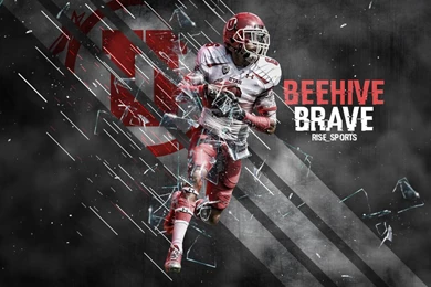 Artwork   Rise Sports