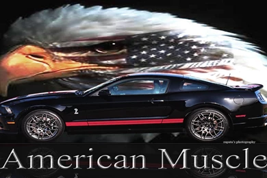 American Muscle Mustang Hd Widescreen Desktop Backgrounds
