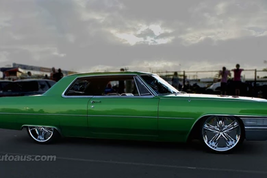 AMERICAN MUSCLE WALLPAPER   (