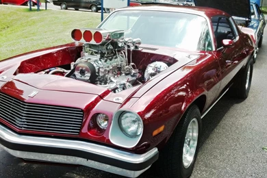 All American Muscle   (