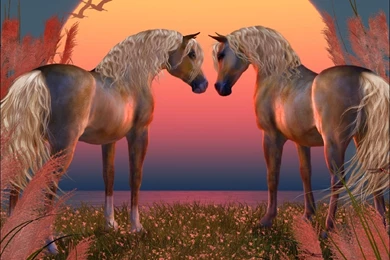 Awesome Animals   Animals Wallpapers (27960235)   Fanpop