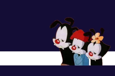 Warner Sibling Wallpapers By Sma rmy On DeviantArt