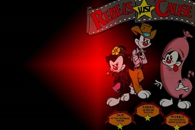 The Warner Trio Layout   Animaniacs Wallpapers (66800)   Fanpop
