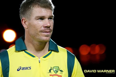 David Warner HD Wallpapers   Wallpapers109 A Huge Collection Of ...