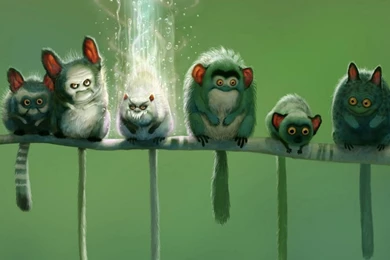 Funny Desktop Backgrounds