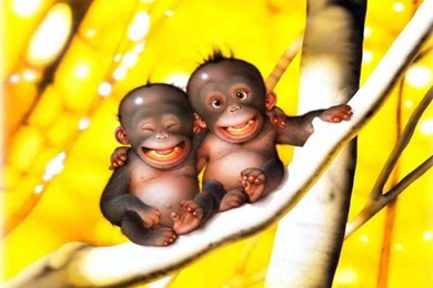 Wallpaper: Free Funny Wallpapers