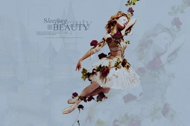 Ballet Wallpapers   Wallpapers Cave