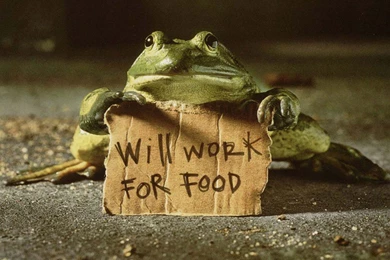 Wallpaper: Free Funny Wallpapers