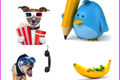 Best Cut Funny Desktop Wallpapers Free Download