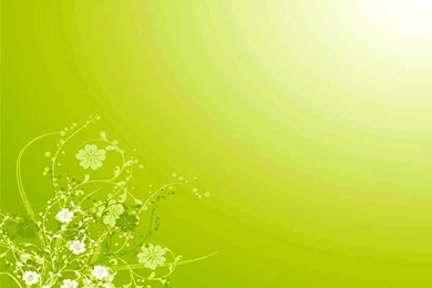 Latest Wallpapers   HDWPlan