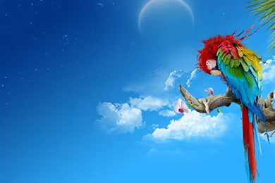 High Definition Wallpapers