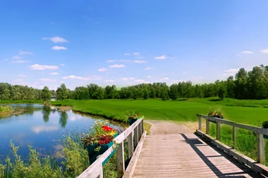 Best Images For Desktop Backgrounds   Windows 10 Wallpapers