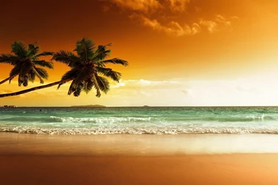 9 HOURS Of Relaxing Music   Massage, Spa, Sleep, Study ...