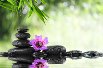 Green_Spa_Background.jpg?m=1433334135