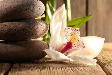 Backgrounds Music For Spa   Jamendo Royalty Free Music Licensing