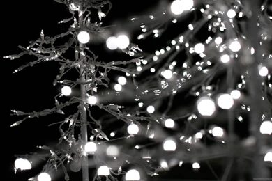 Download 2560x1600 Holiday Lights In The Dark Wallpapers