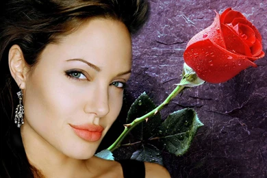 Angelina Wallpapers   Angelina Jolie Wallpapers (11550444)   Fanpop