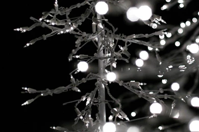 Download Holiday Lights In The Dark Wallpapers For iPad 2