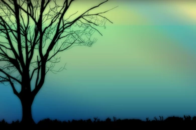 Silhouette Wallpapers   Wallpapers Cave