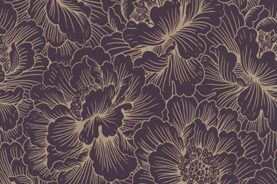 Top Plum Backgrounds Wallpapers Wallpapers