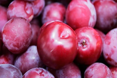 Plum Fruit Wallpapers   Crazy Frankenstein