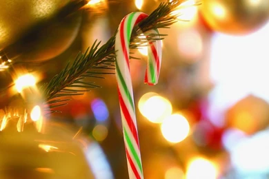 1600x1200 Garlands, Photo, Background, Holiday, Lights, Picture ...