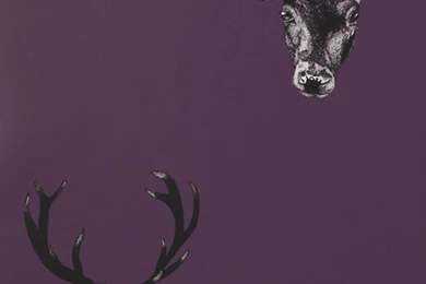 Friti Wallpapers   Plum