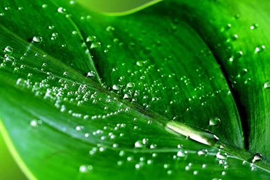 High Resolution Wallpapers HD