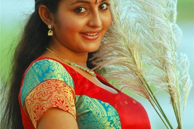 Latest Celeb Pictures Vera Wang   Celebrity Wedding Gowns   PHOTOS ...