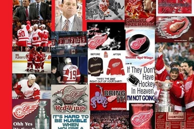 Detroit Red Wings