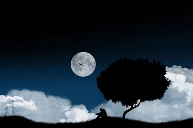Download Wallpapers 2560x1600 Solitude, Tree, Night, Clearing, Sky ...