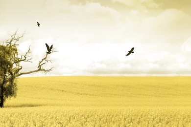 A Dreamy World DUALSCREEN Wallpapers 13   Dual Screen Wallpapers ...