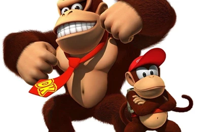 Top Hd Donkey Wallpapers Wallpapers