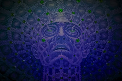 Download Wallpapers, Download 2560x1600 Tool Grey Psychedelic ...