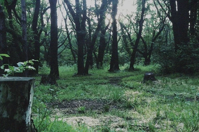 Silent Hills Concept Art   Silent Hill Memories