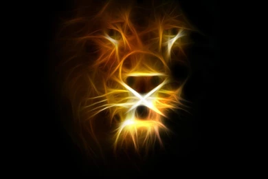 Lion Abstract HD PC Wallpapers 3269   HD Wallpapers Site