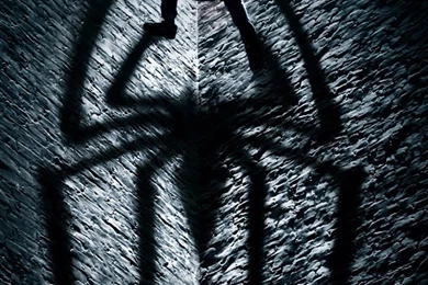 The Amazing Spider Man iPhone 5s Wallpapers Download