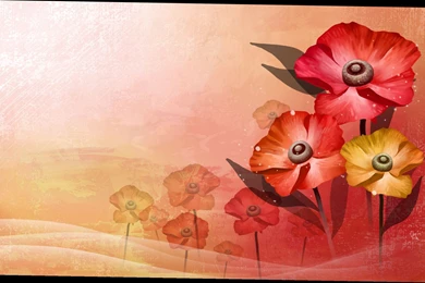 Free Wallpapers Downloads For Phone   3 Items