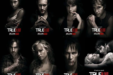 True Blood Wallpapers   TV Series   Crazy Frankenstein