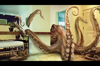 Free Weird Deep Sea Creature Computer Desktop Wallpapers