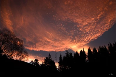 Weird Wallpapers 543 Desktop Top