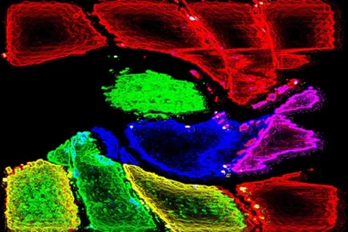 Weird Desktop Backgrounds Wallpapers Weird Desktop Backgrounds Hd ...